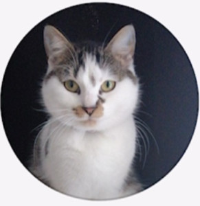 Photo de galerie - Nala 