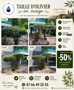 Photo de galerie - Taille de haies et d'arbustes