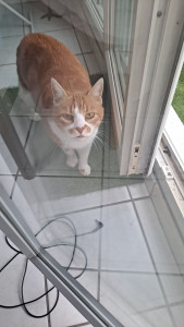 Photo de galerie - Discussion 