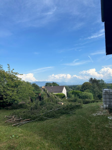 Photo de galerie - Elagage et coupe d'arbres