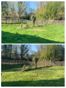 Photo de galerie - Terrain de 1500