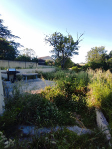 Photo de galerie - Tonte de pelouse - Débroussaillage