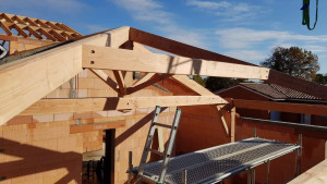 Photo de galerie - Ferme et arêtier en douglas