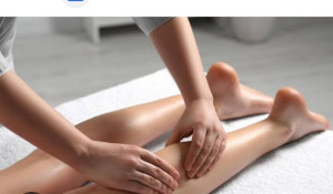 Photo de galerie - Jambes antérieur  et postérieur 