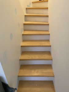 Photo de galerie - Vitrification sur les marches , contremarche peinte