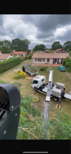 Photo de galerie - Elagage et coupe d'arbres
