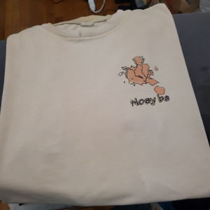 Photo de galerie - Lingerie - Repassage