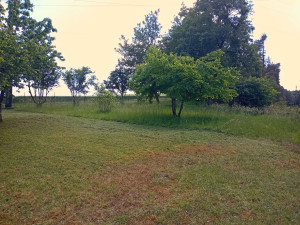 Photo de galerie - Terrain en milieu d'intervention 