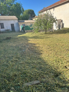 Photo de galerie - Débroussaillage après