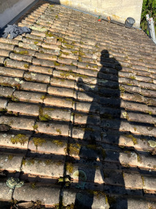 Photo de galerie - Couverture - Toiture