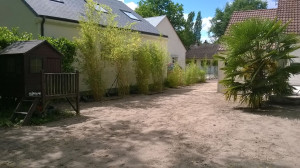 Photo de galerie - Plantation haie de bambous 