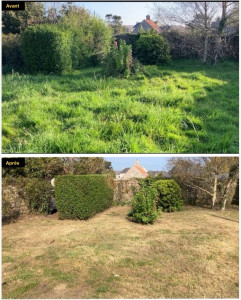 Photo de galerie - Remise au propre; débroussaillage avec ramassage d’herbes hautes et épaisses. 