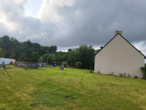 Photo de galerie - Tonte de pelouse