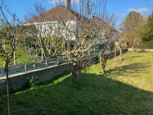 Photo de galerie - Faire de pelouse