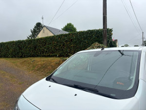 Photo de galerie - Taille de haie 
