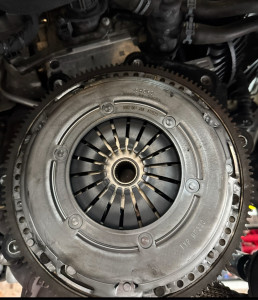 Photo de galerie - Embrayage 
