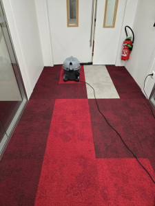Photo de galerie - Nettoyage moquette 