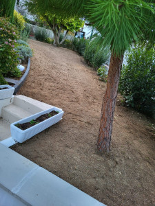 Photo de galerie - Paysagiste - Aménagement du jardin