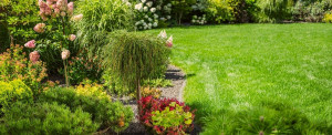 Photo de galerie - Entretien espaces verts 