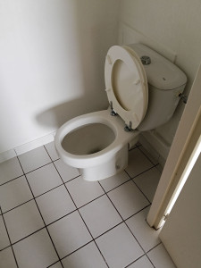 Photo de galerie - Le après des sannitaires