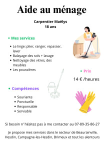 Photo de galerie - Je travaille dans le nettoyage des gîtes ! je fais de tout 