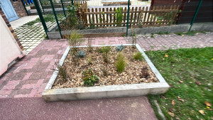 Photo de galerie - Création de massif 