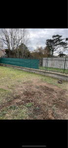 Photo de galerie - Elagage et coupe d'arbres