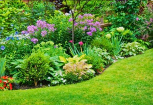 Photo de galerie - Paysagiste - Aménagement du jardin