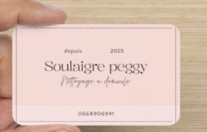 Photo de galerie - Femme de ménage a mon compte 