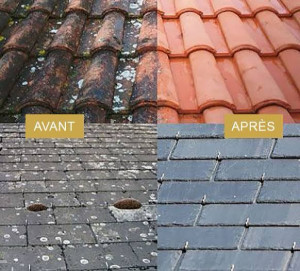 Photo de galerie - Après avoir nettoyé le toit à droite de la photo nous avons les résultat après avoir nettoyé et hydrofuge