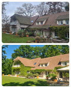 Photo de galerie - Avant et après le nettoyage de la toiture enlèvement des mousse et application d'un nettoyant curatif et préventif, ensuite nettoyage au karcher et finition avec hitrofuge incolore, voilà le résultat. 