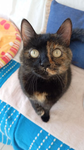 Photo de galerie - June