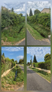 Photo de galerie - Entretien d'espace vert