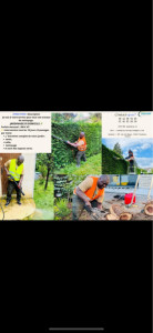 Photo de galerie - Bonjour je suis disponible  pour faire votre  Elagage ou coupe d'arbres  et je suis équipé, camion Nacelle Et si c’est toi le travail, je suis en équipe Facture ou sans facture si vous êtes intéressé, merci de me répondre 