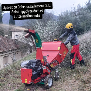 Photo de galerie - Elagage et coupe d'arbres