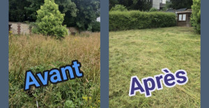 Photo de galerie - Terrain débroussailler 
