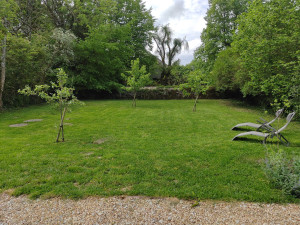 Photo de galerie - Tonte pelouse 