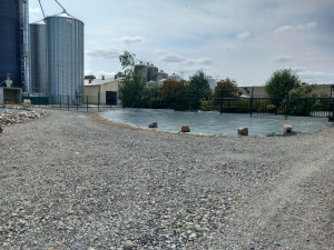 Photo de galerie - Paysagiste - Aménagement du jardin