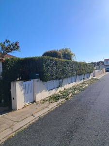 Photo de galerie - Taille de haie 