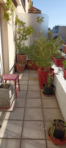Photo de galerie - Nettoyage du balcon et entretien du petit jardin terminé et très nikel ?