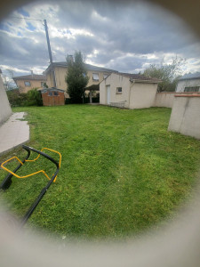 Photo de galerie - Tonte de pelouse - Débroussaillage