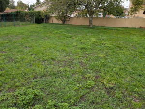 Photo de galerie - Tonte d’un jardin au tracteur tondeuse 