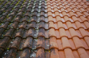 Photo de galerie - Démoussage voilà le résultat