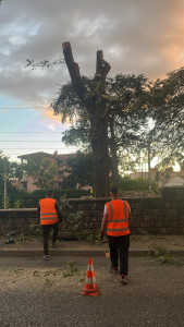 Photo de galerie - Entretien des espaces verts 