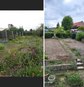 Photo de galerie - Création.d'une pelouse 