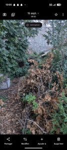 Photo de galerie - Avant
