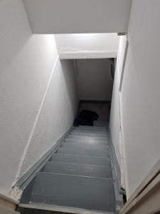 Photo de galerie - Peiture complète des mur + escaliers.