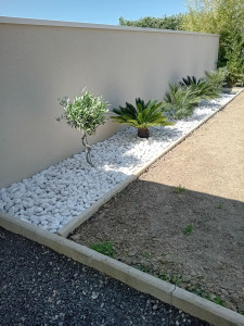 Photo de galerie - Creation massif