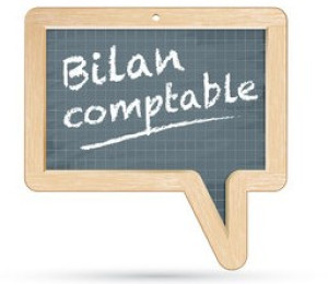 Photo de galerie - Bilan comptable
