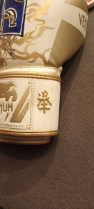 Photo de galerie -  broderie personnalisé sur gant de boxe